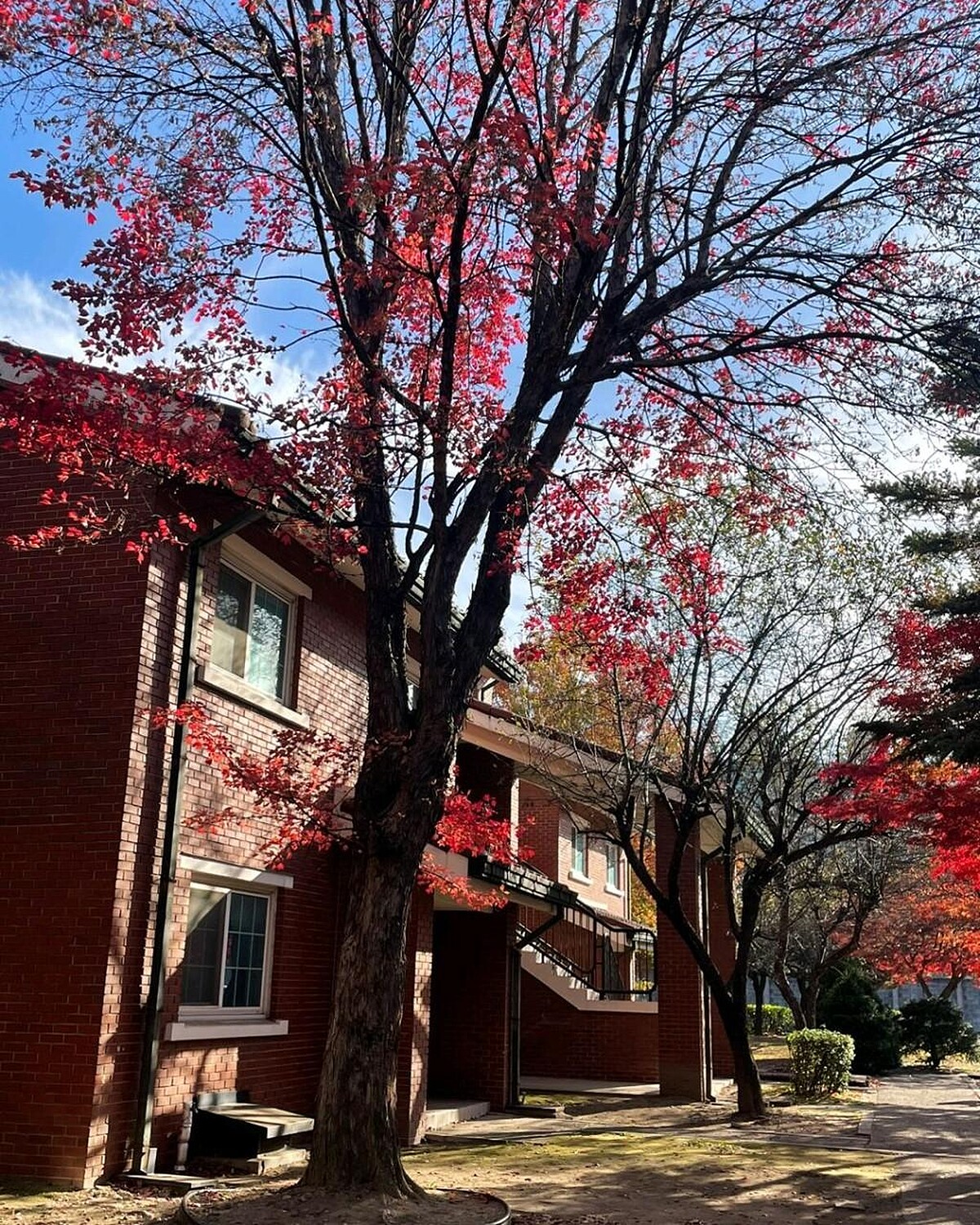 龍山公園(Photo/翻攝自Naver Map)。