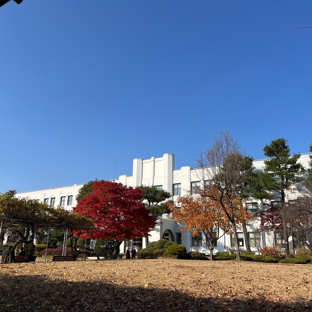 正讀讀書館(Photo/翻攝自Naver Map)。