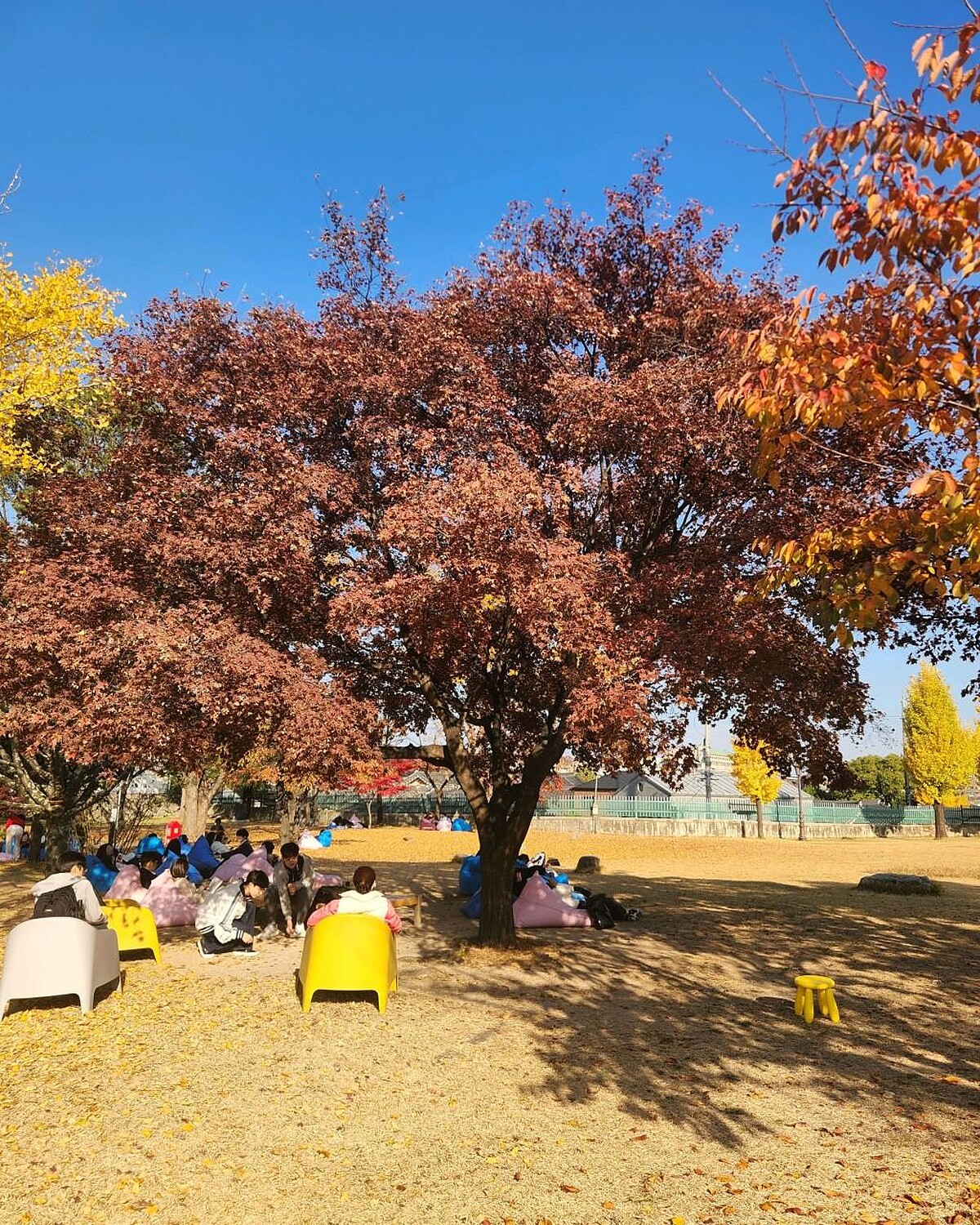 龍山公園(Photo/翻攝自Naver Map)。