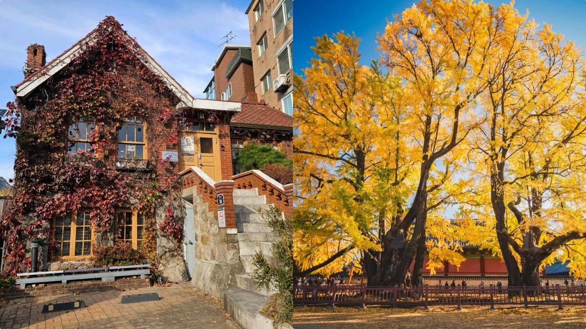 【Julia韓國觀察筆記】首爾秋天8大必去拍照景點推薦，秋高氣爽郊遊去！