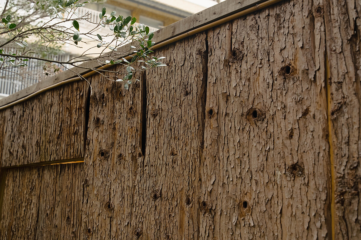 (照片提供:寓 apāto)