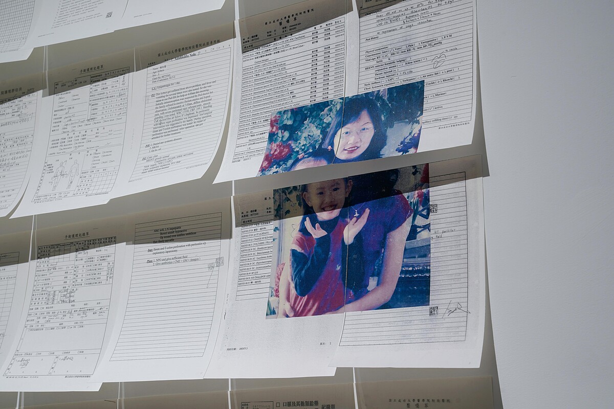 《08773545》，楊佳馨，空間裝置，紙、小號長尾夾、相片紙，一場地而定，2025｜藝術家提供