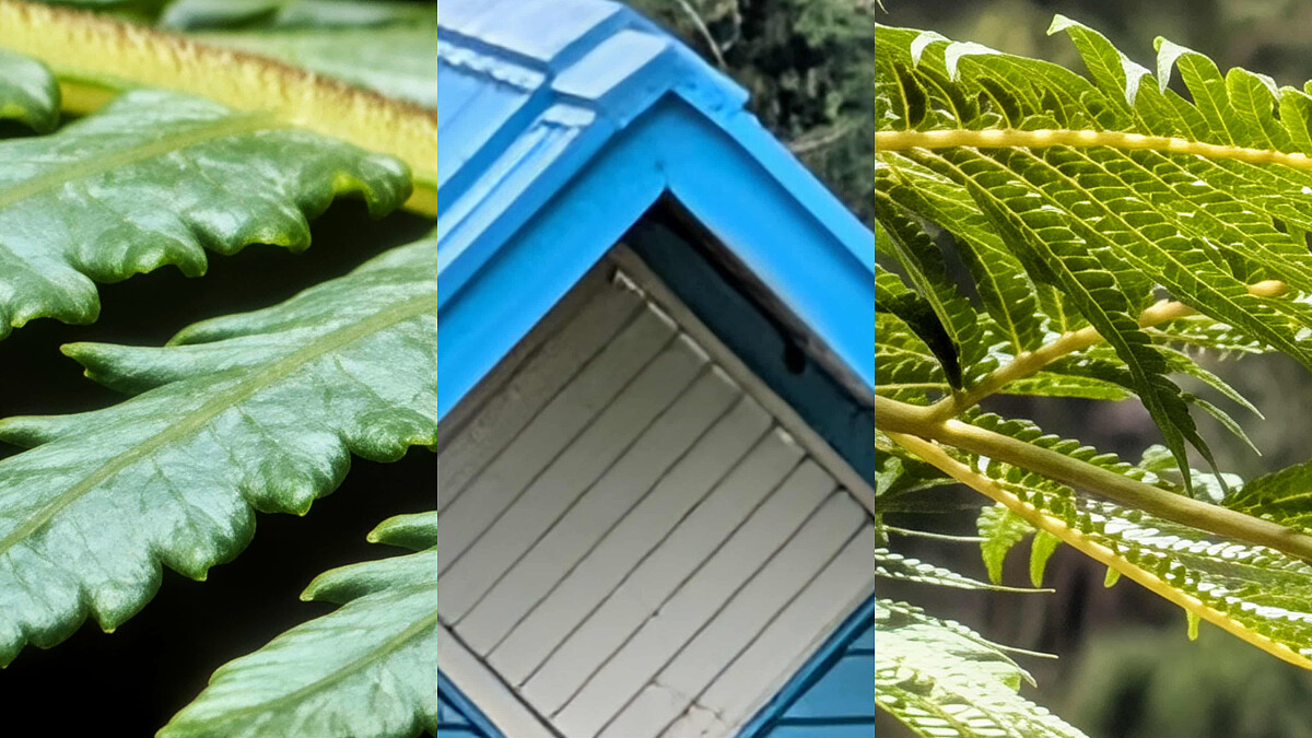 Google Pixel 10 Pro相機100倍變焦實測