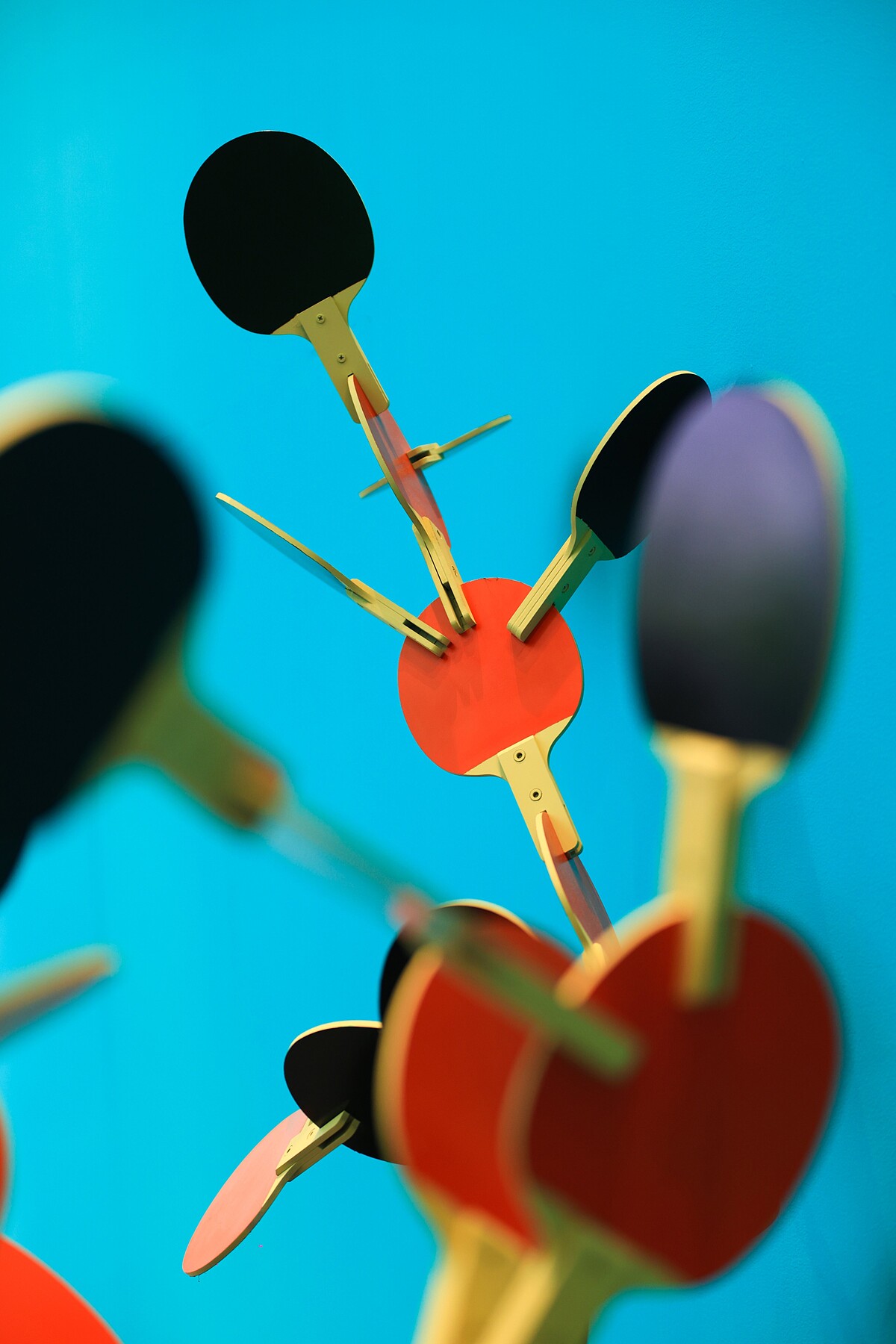 Ping-Pong Garden 乒乓花園