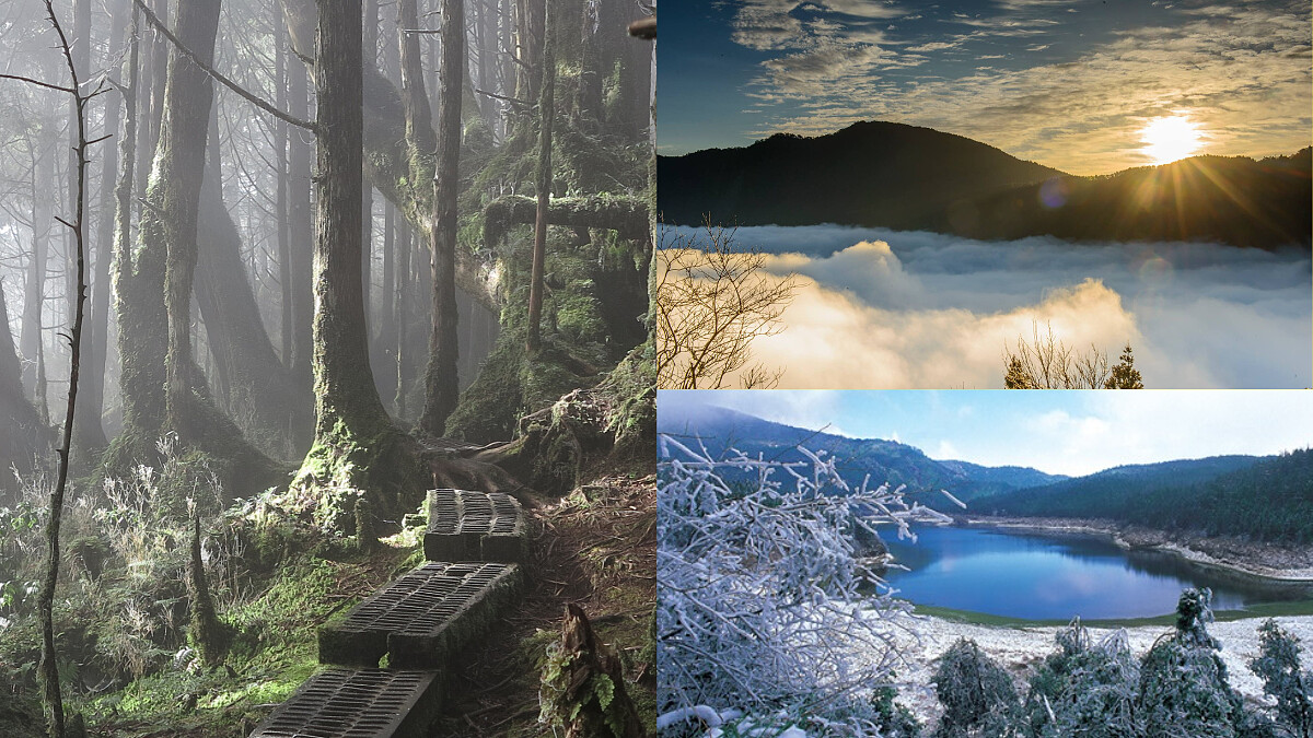 太平山國家森林遊樂區,Photo/太平山國家森林遊樂區入口網