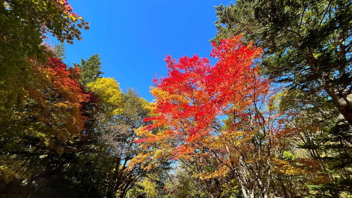 大雪山層雲峽。Photo／FB@層雲峡観光協会