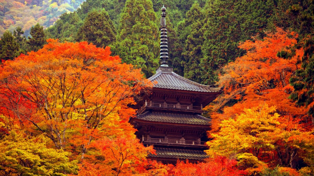 兵庫縣高源寺。Photo／西天目瑞巖山 高源寺｜丹波市観光協会
