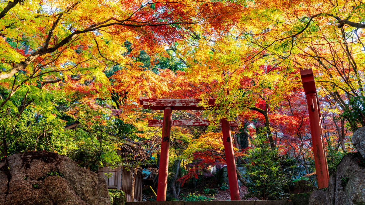 寶滿宮竈門神社。Photo／FB@竈門神社