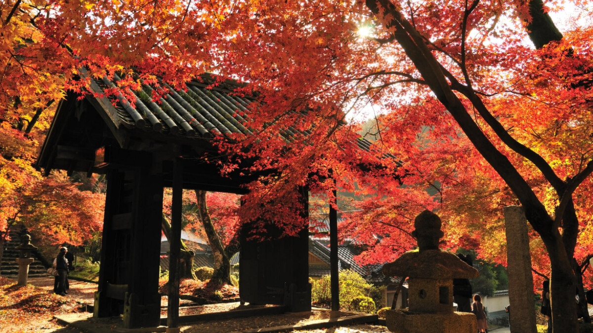 福岡縣秋月城跡。Photo／www.japan.travel