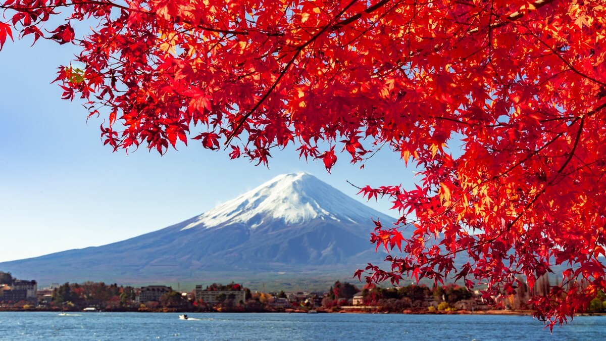 富士河口湖。
