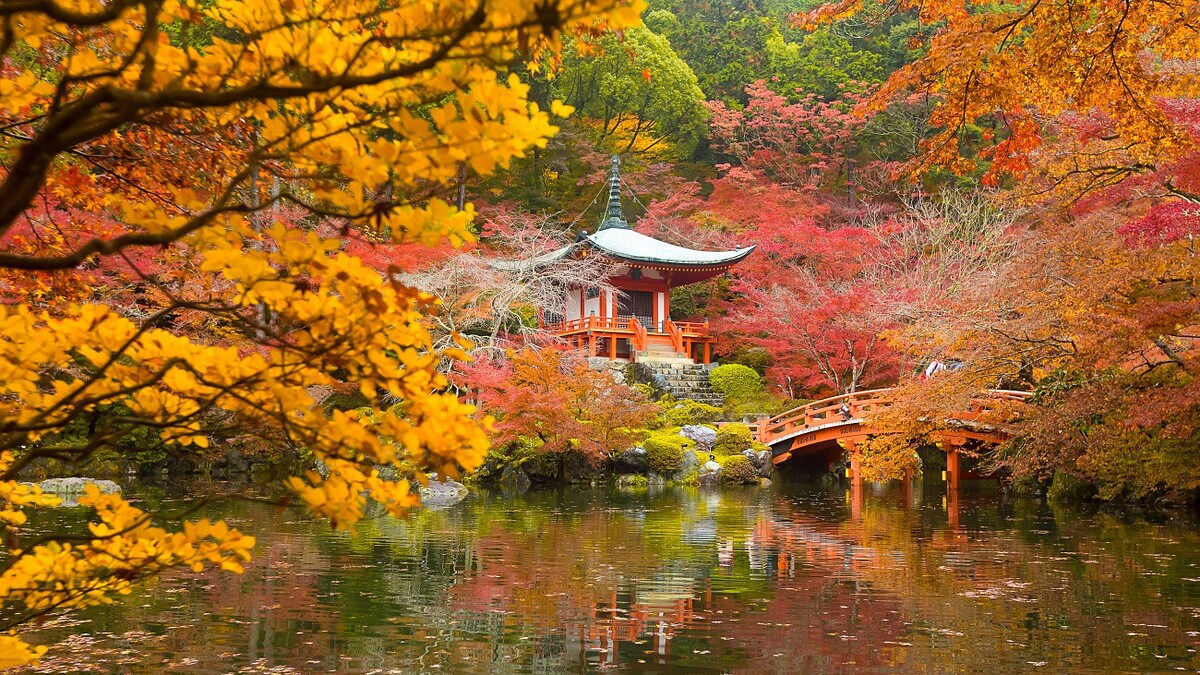 2025日本賞楓葉全攻略！各地最佳觀賞時間、16個必朝聖景點資訊懶人包