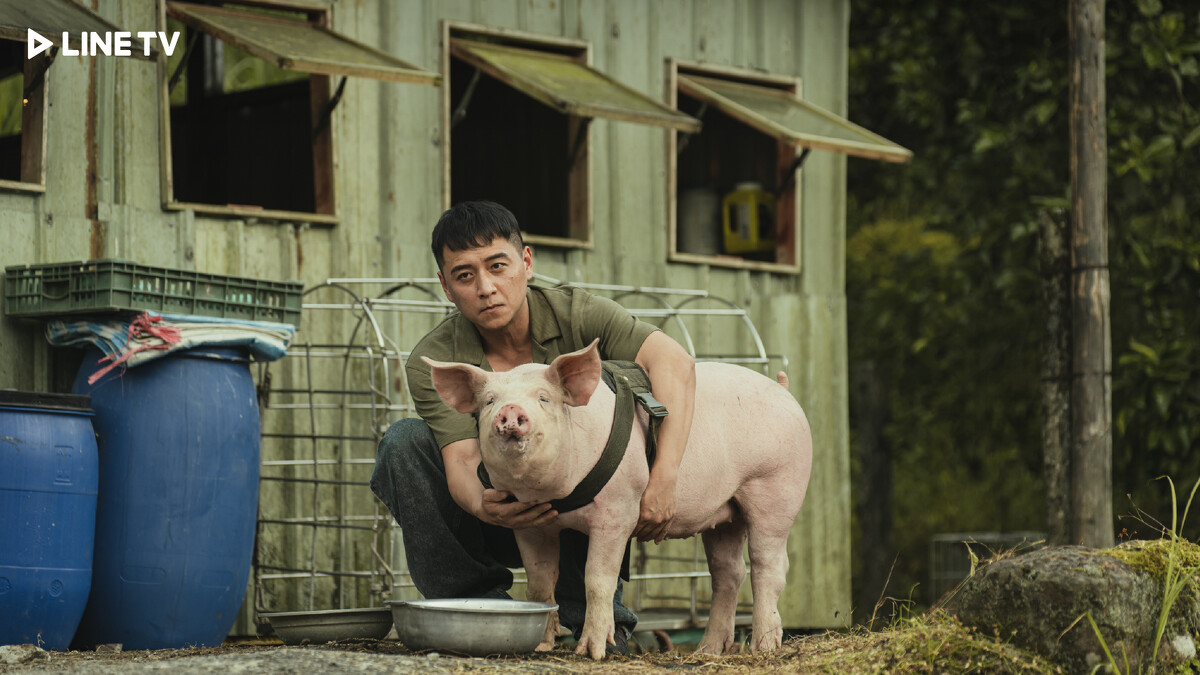 《豬人》 鄭人碩與豬演員有不少對手戲 Photo / LINE TV 