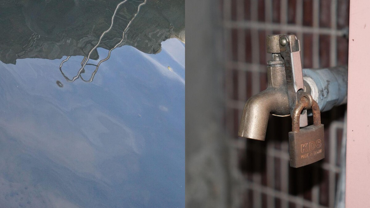 吉他手蔡有倫及貝斯手達達攝影圖。