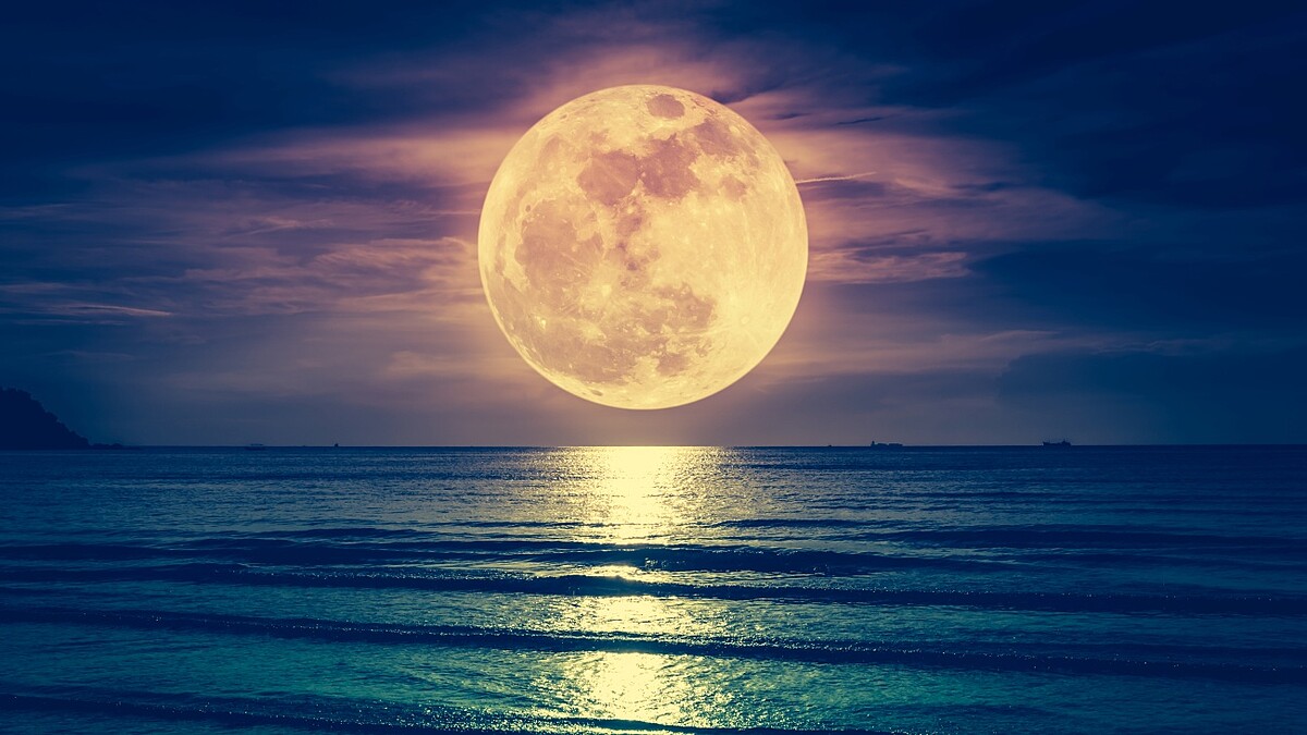 2025最大「超級月亮」11/5登場！6年來最壯觀，最佳觀賞時間、月亮許願法一次看