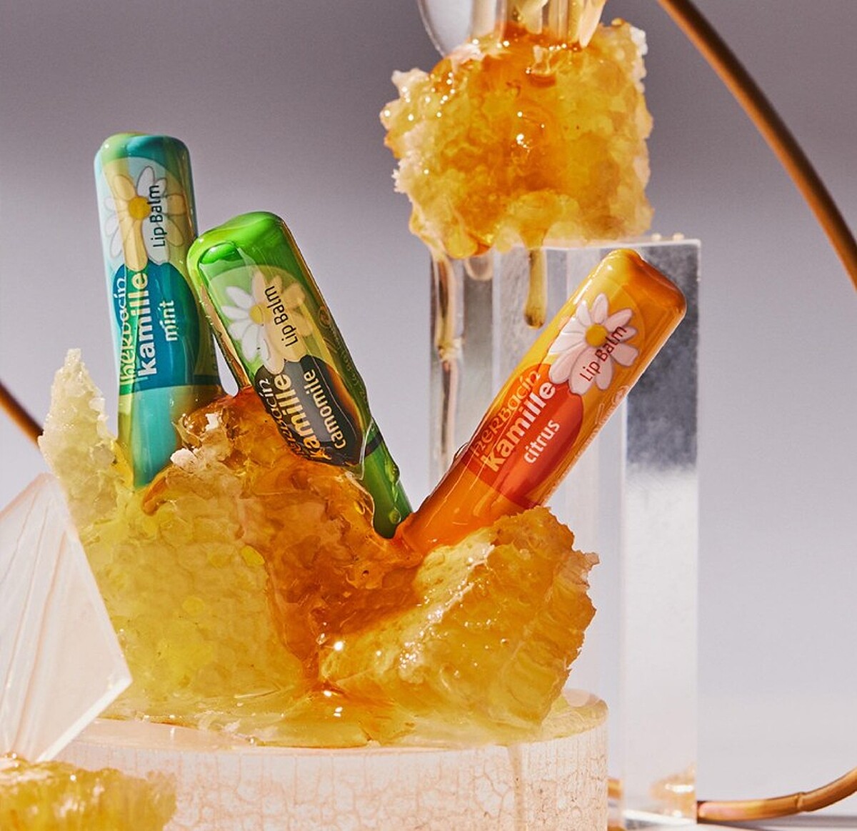 Herbacin德國小甘菊 小甘菊經典修護/香橙潤澤/薄荷迷迭香護唇膏,4.8g,NT129。