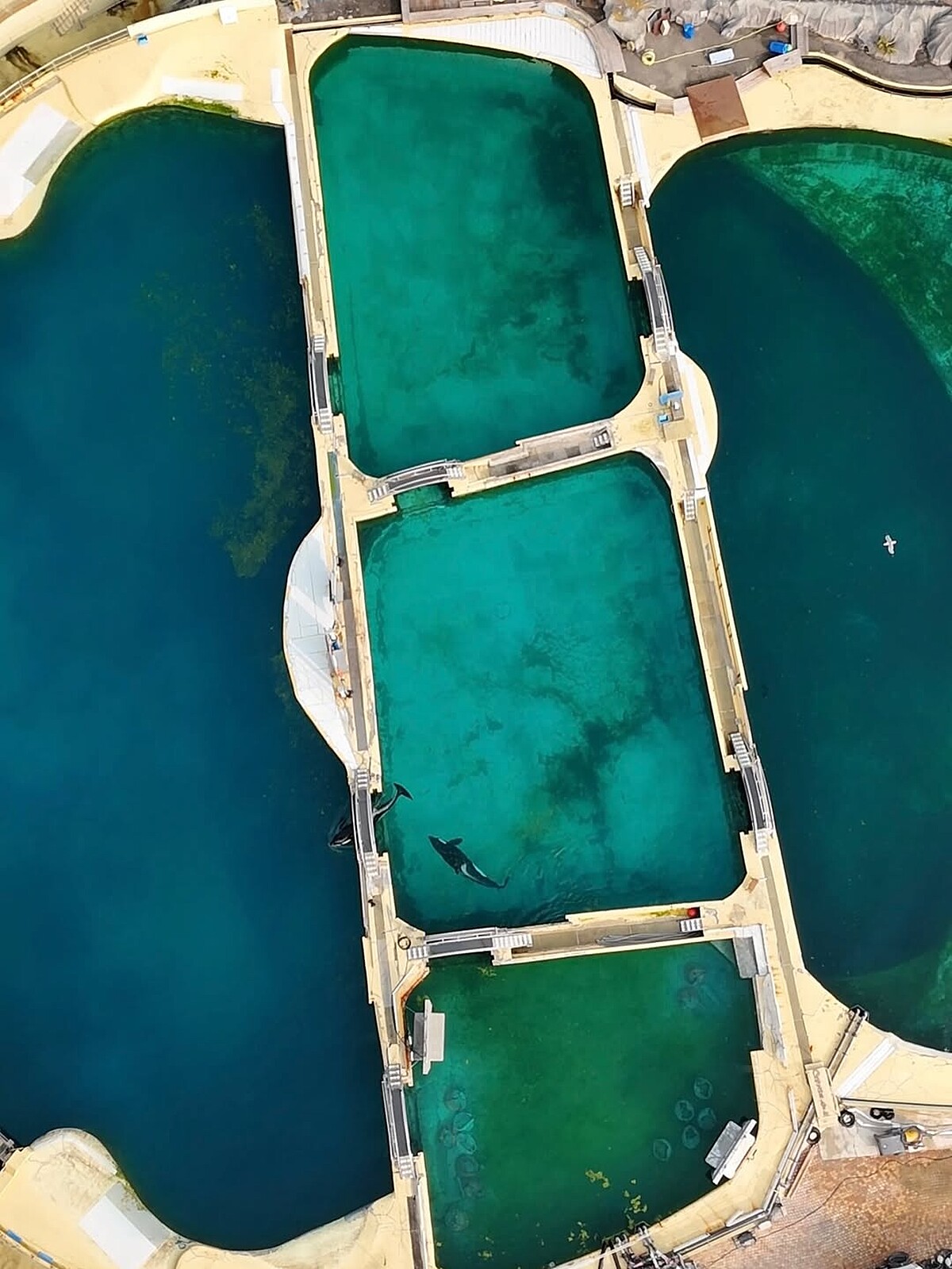 Photo/IG@sephlawless