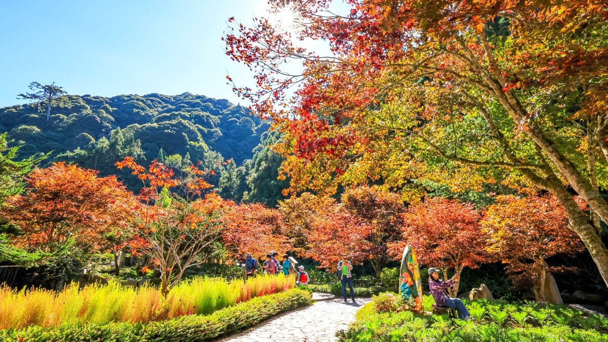 南投杉林溪森林生態渡假園區。Photo／FB@愛上杉林溪