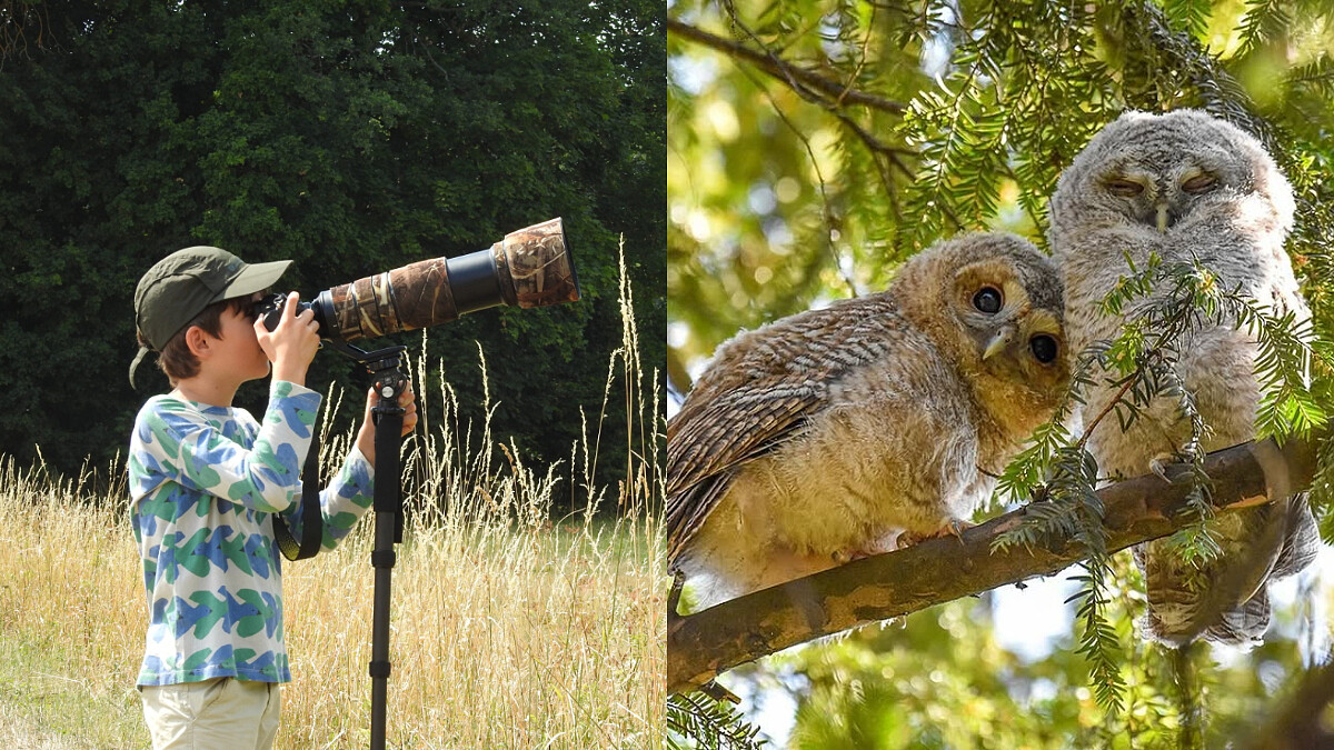 12歲攝影師抓住鳥類絕美姿態，7歲愛上翠鳥、2025獲鳥類攝影師金獎