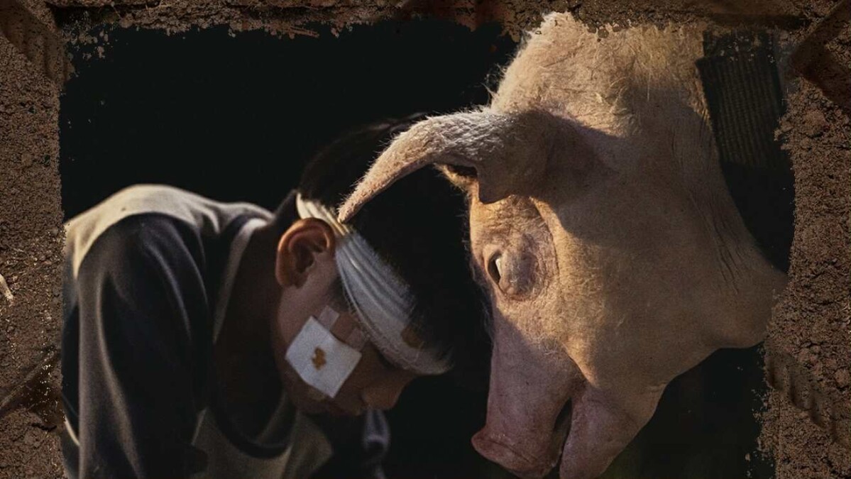 黑盒子《豬人》劇情是什麼？探討靈魂交換，鄭人碩洪君昊動人父子情