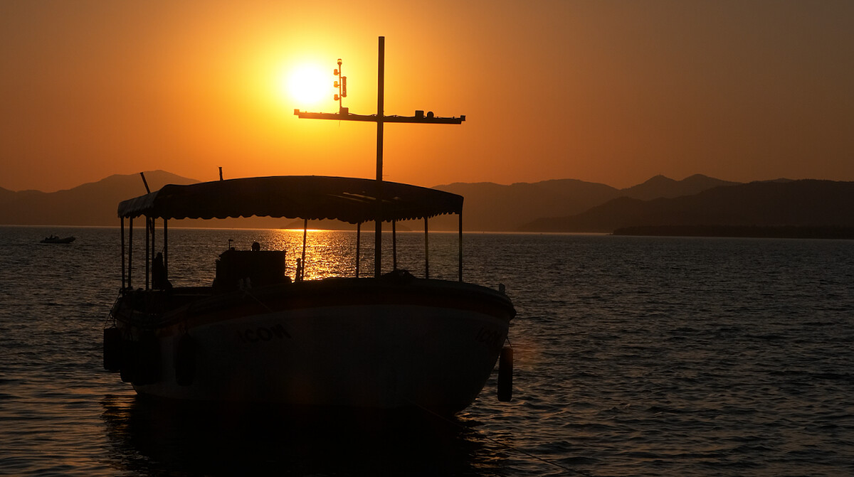 Photo / 塔羅耳語