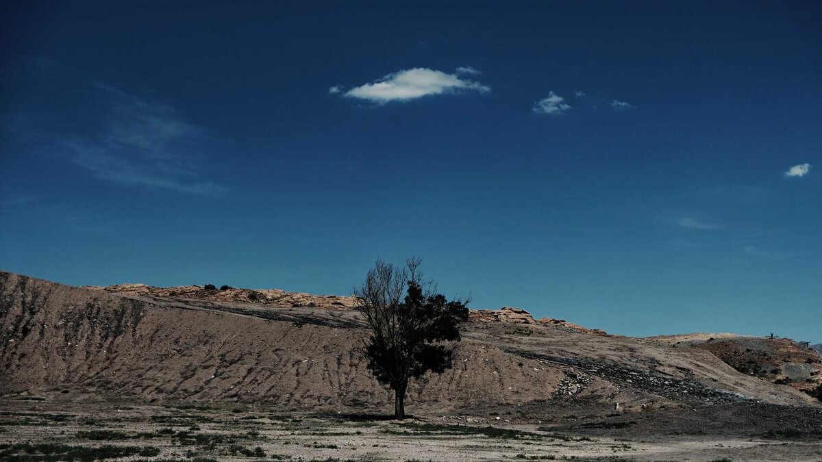 陳克勤攝影作品。｜陳克勤提供