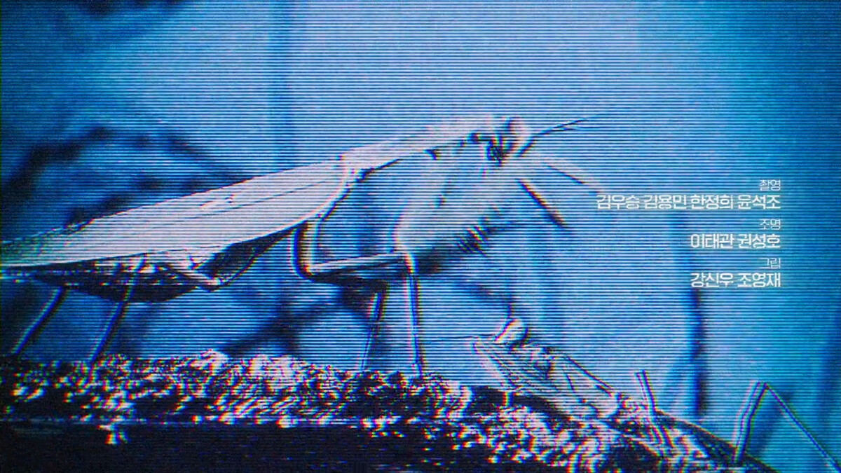 片頭出現螳螂畫面，是否預告白瑞珍會吞噬尹瑞俊？