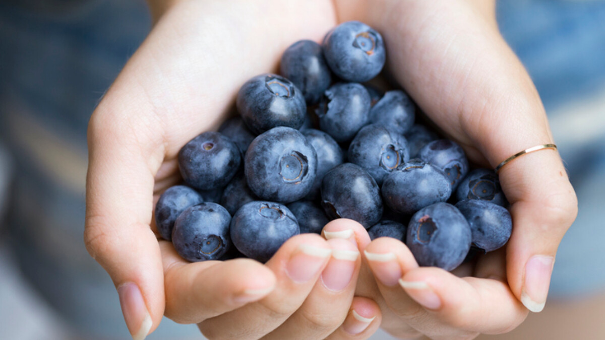 每天一碗藍莓！英國研究認證 女性必吃的「花青素超級水果」：亮膚促代謝、補心又補腦，5種更加分吃法學起來