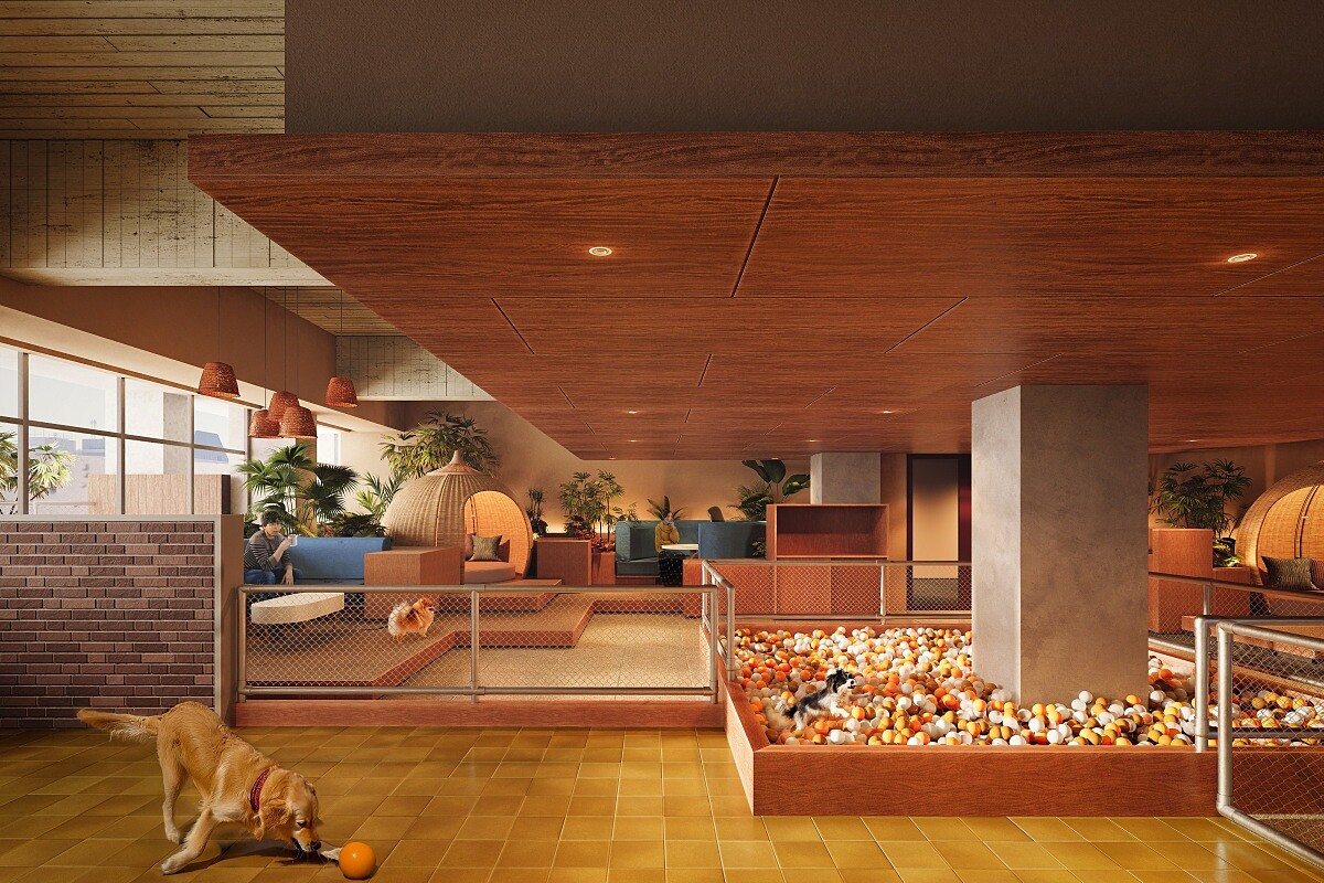 另有寵物友善客房。