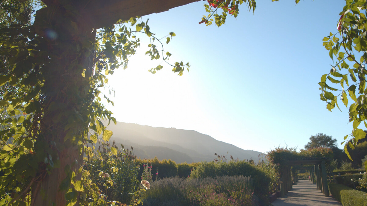 Photo / 塔羅耳語