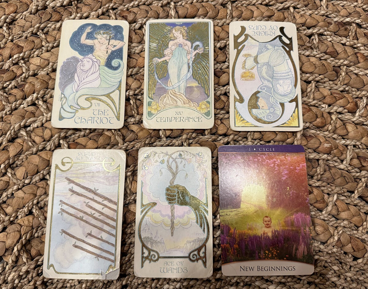 Photo / 塔羅耳語