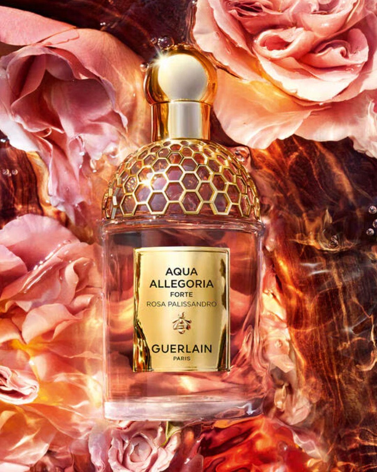 嬌蘭 薔薇之木淡香精，75ml NT4,990、125ml NT6,780