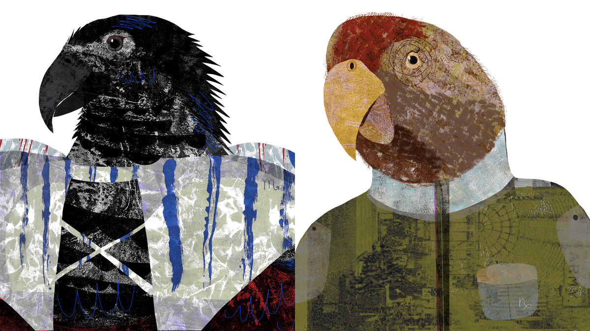 【星星教授安格斯 12/8-12/14 星座運勢】天秤「不假裝」反而贏得好感，摩羯需要更多獨處時刻