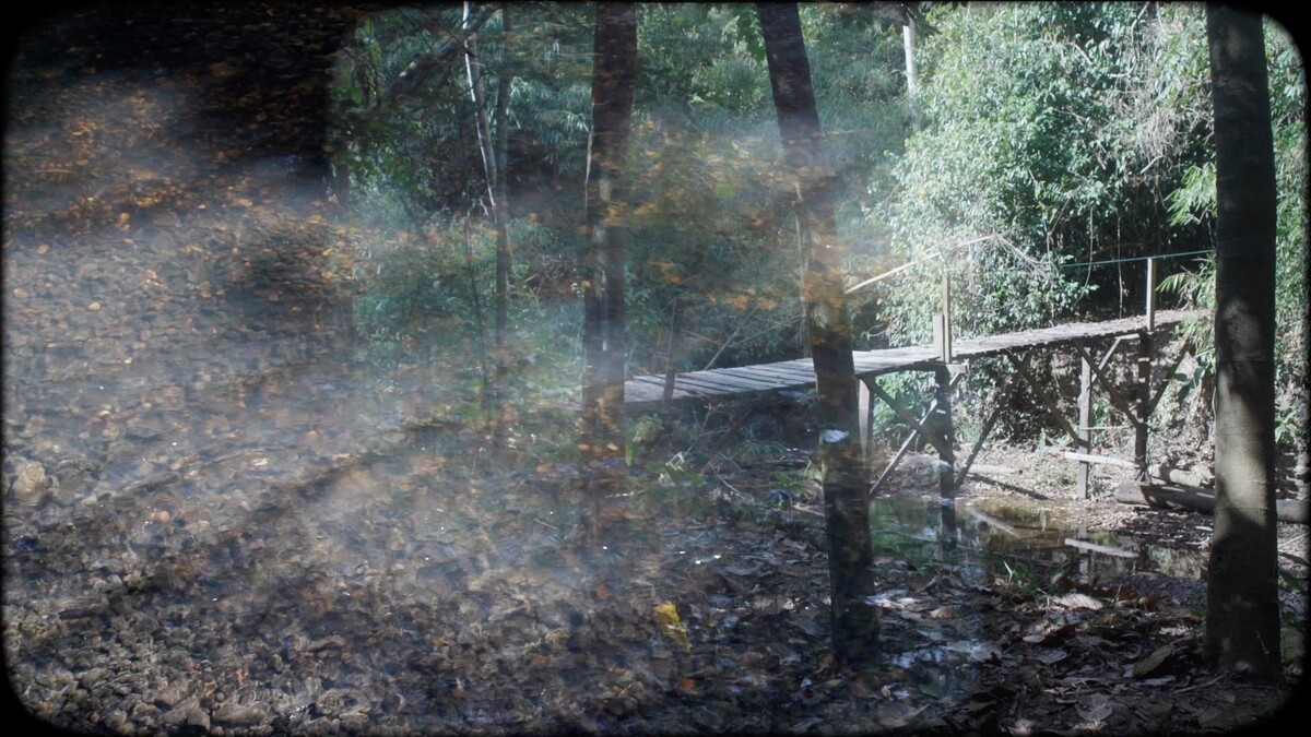 阿比查邦《For Bruce》（影格），2022。雙頻道 HD 錄像，彩色，立體聲音效，18分46秒。&copy; Apichatpong Weerasethakul