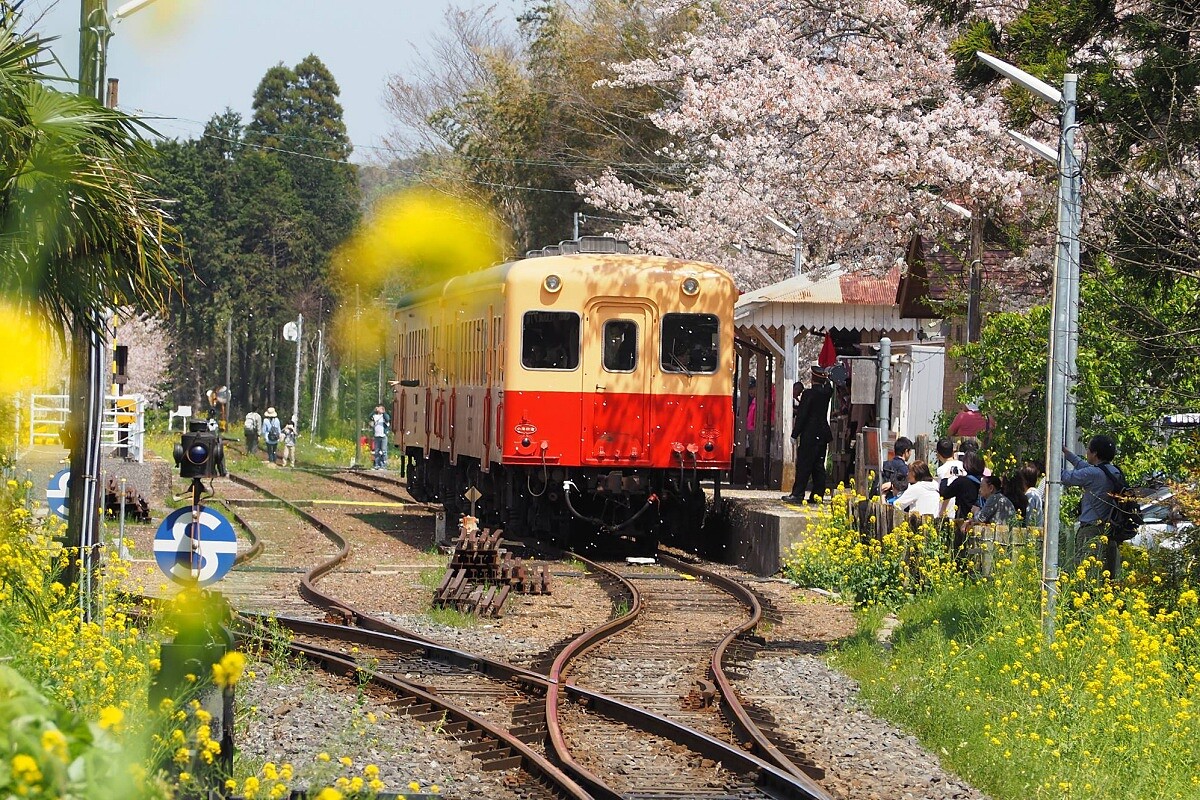 千葉人氣王鐵道&mdash;「小湊鐵道」。