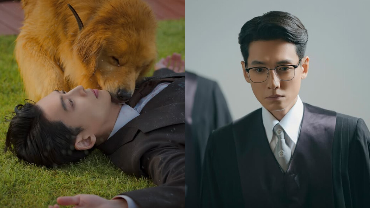 《公益律師》首播評價好看！鄭敬淏+可愛狗狗怎能拒絕？被蘋果箱現金陷害的網紅法官、勢利卻正義的不完美英雄，收視最高破7％