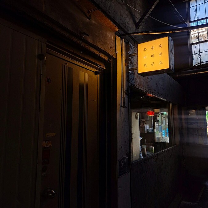 柳龍玉BBQ研究所(Photo/翻攝自Naver Map)。