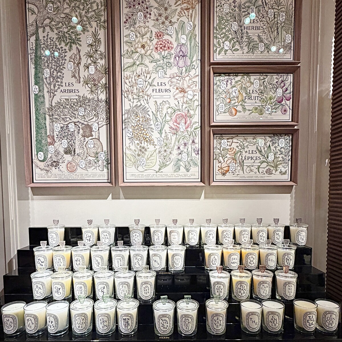 Diptyque香氛蠟燭的味道多達50款。