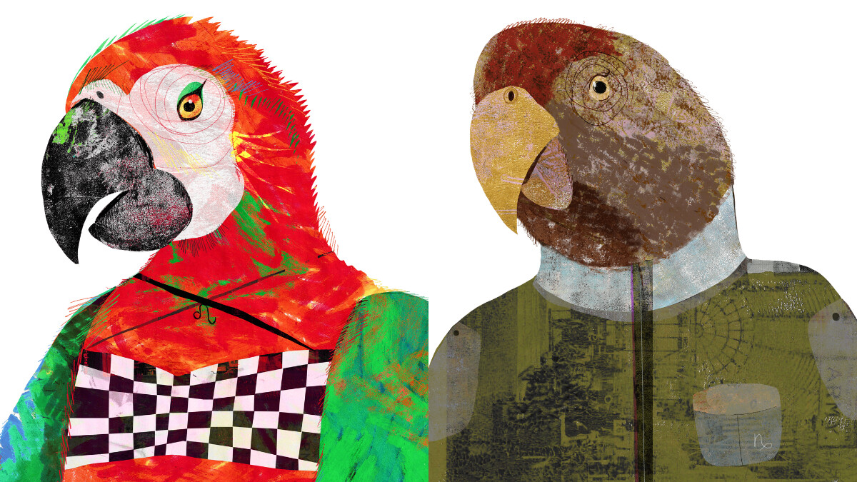 【星星教授安格斯 12/15-12/21 星座運勢】獅子座感情磁場極強，摩羯想離開人群