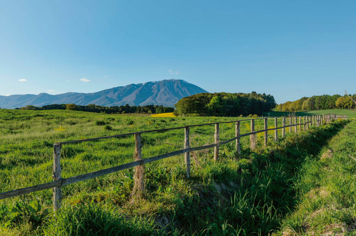 「AZUMA FARM KOIWAI」位在岩手縣小岩井農場內。
