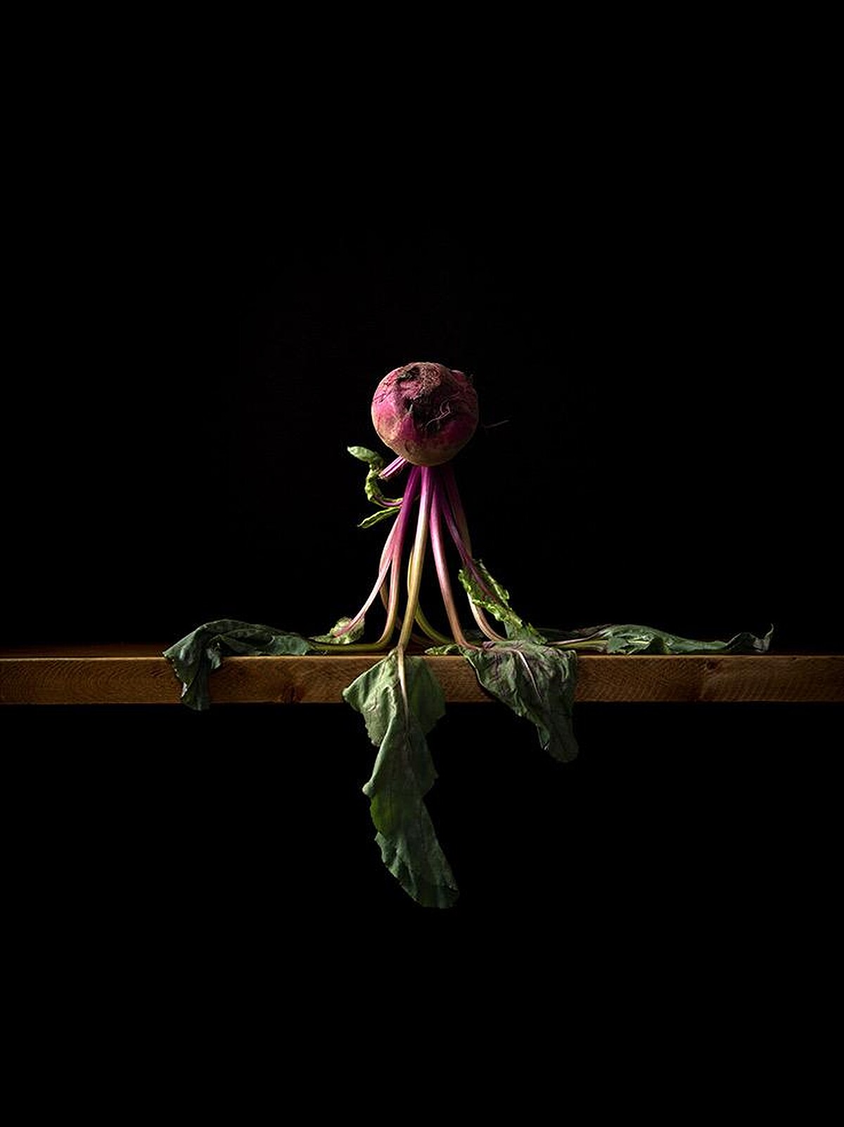 板谷麗 _ Rei ITAYA _ 1978 _ Japan 甜菜沙拉 Beet Salad 42.4&times;34.9 銀鹽印刷 Lambda Print 2023