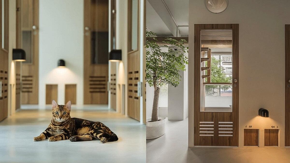 為什麼現在，我們需要一間「從貓出發」的旅館？當得獎設計遇見溫柔照護，「愛貓成癮貓旅館 CAT HOTEL &amp;amp; CAFE」為貓打造真正的度假日常