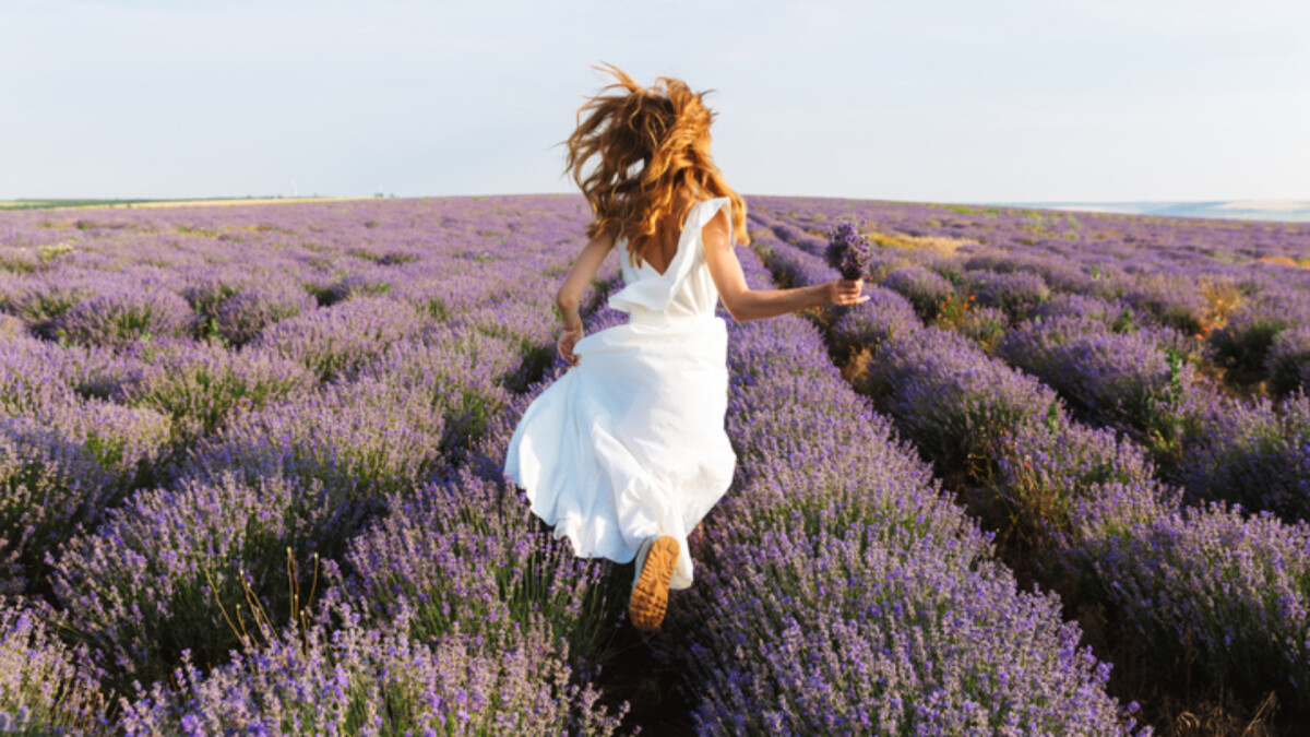 2026年MBTI運勢｜INFP的始源之年，告別內耗，將內在光芒轉為現實藍圖