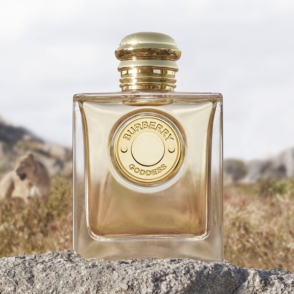 Burberry Goddess繆斯女神淡香精50ml，NT4,350、100ml，NT6,200