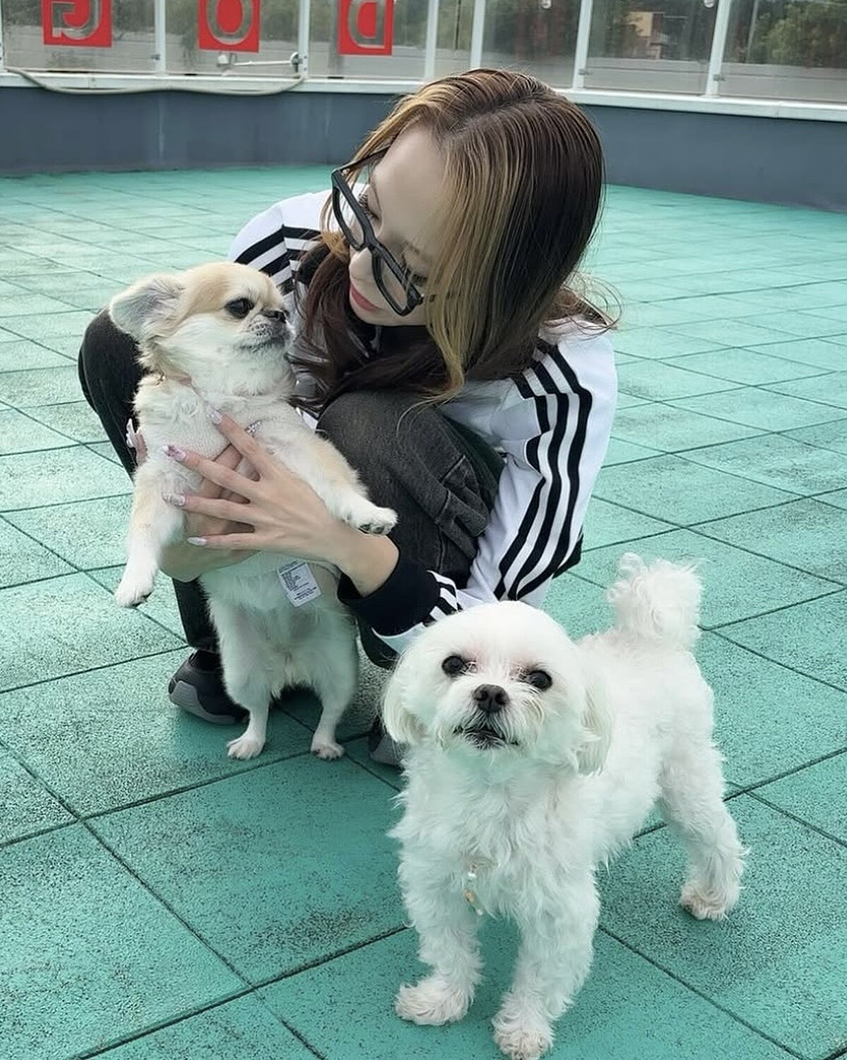 Photo/ IG @yuria_suzuki