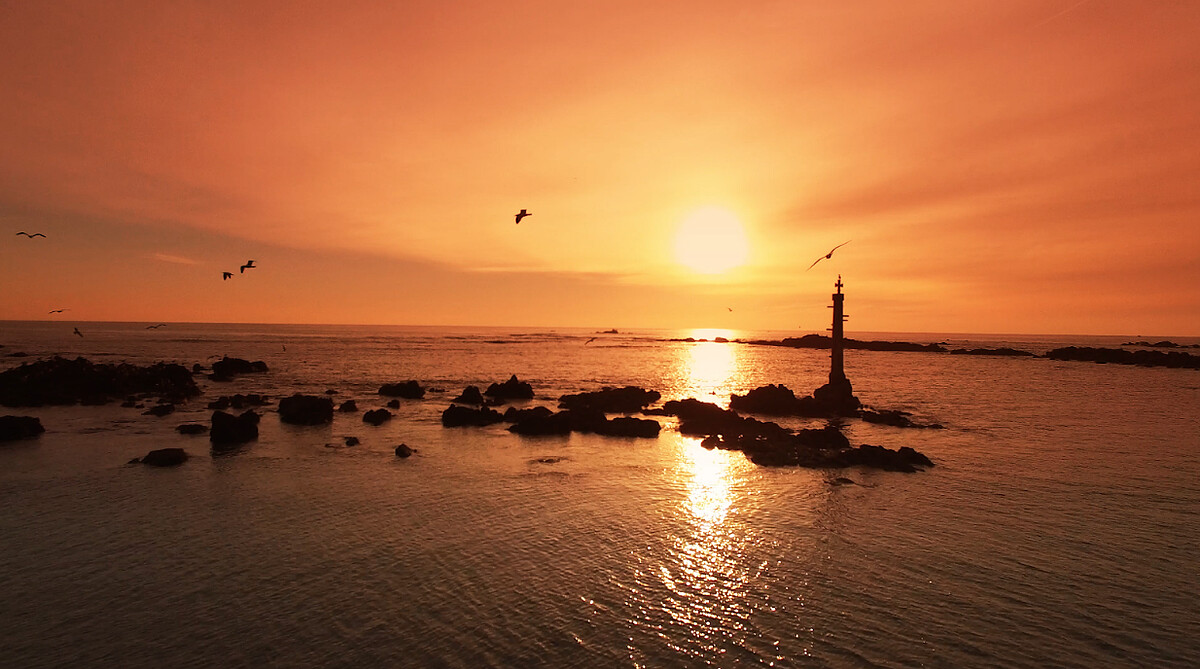 Photo / 塔羅耳語