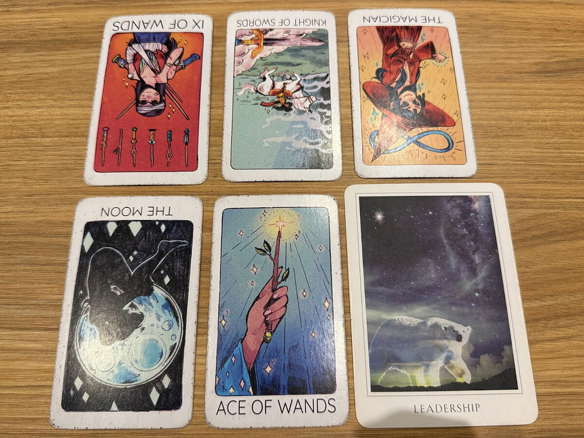 Photo / 塔羅耳語