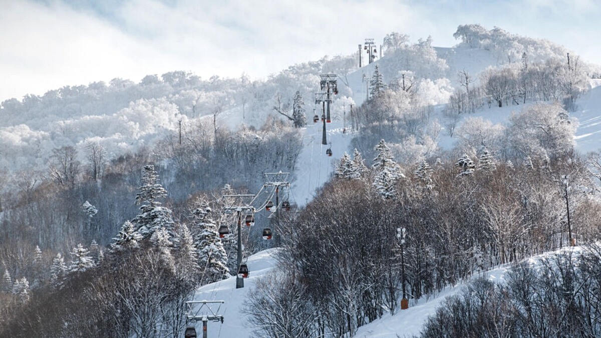 北海道Club Med Kiroro Peak度假村外就是滑雪場