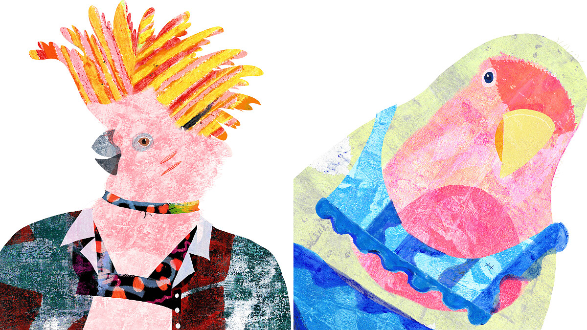 【星星教授安格斯 12/29-1/4 星座運勢】牡羊重視理念相近，雙魚適合把另一半帶入生活圈