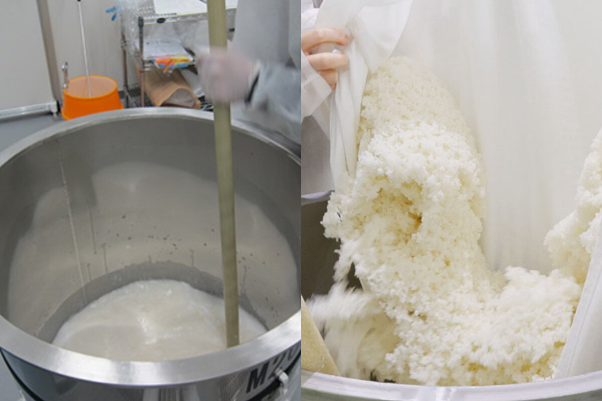 「Houraisen Sake Lab」提供小規模釀酒體驗。