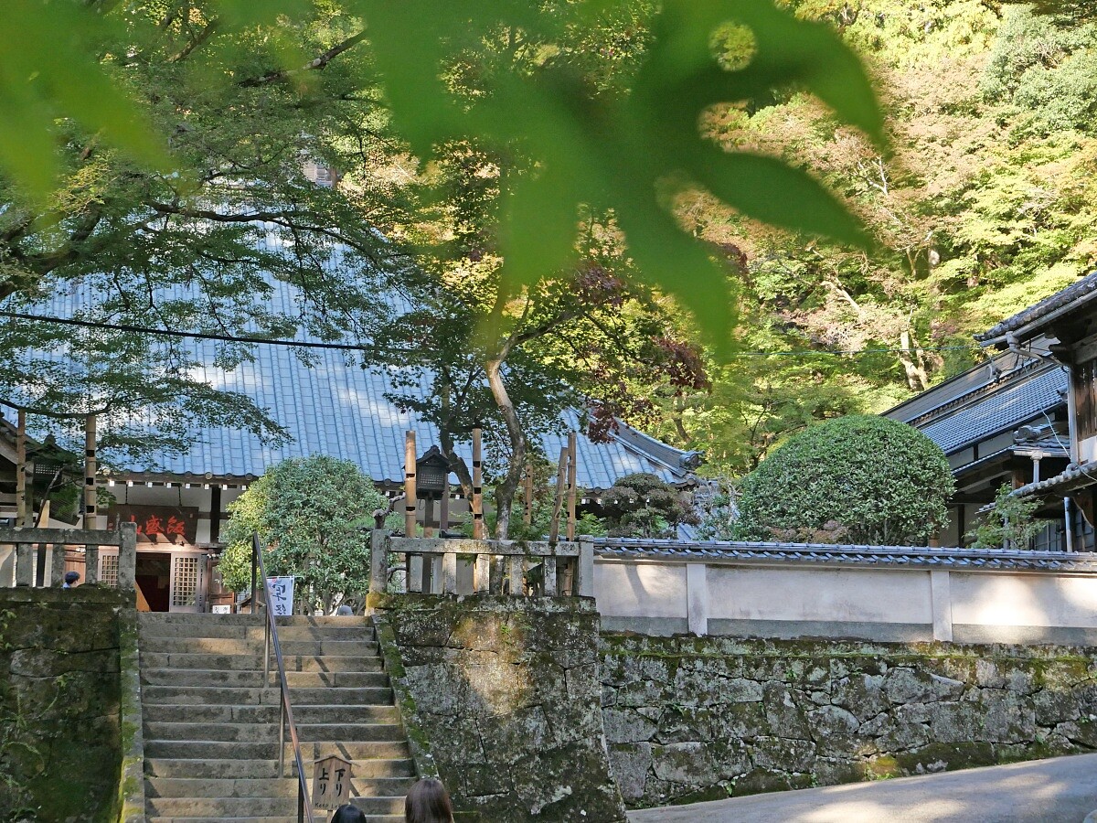秋天來「香積寺」是最好的季節。